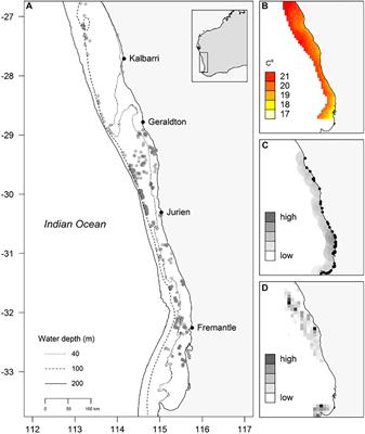 Environmental and Anthropogenic Factors Affect Fish Abundance: Relationships Revealed by Automated Cameras Deployed by Fishers